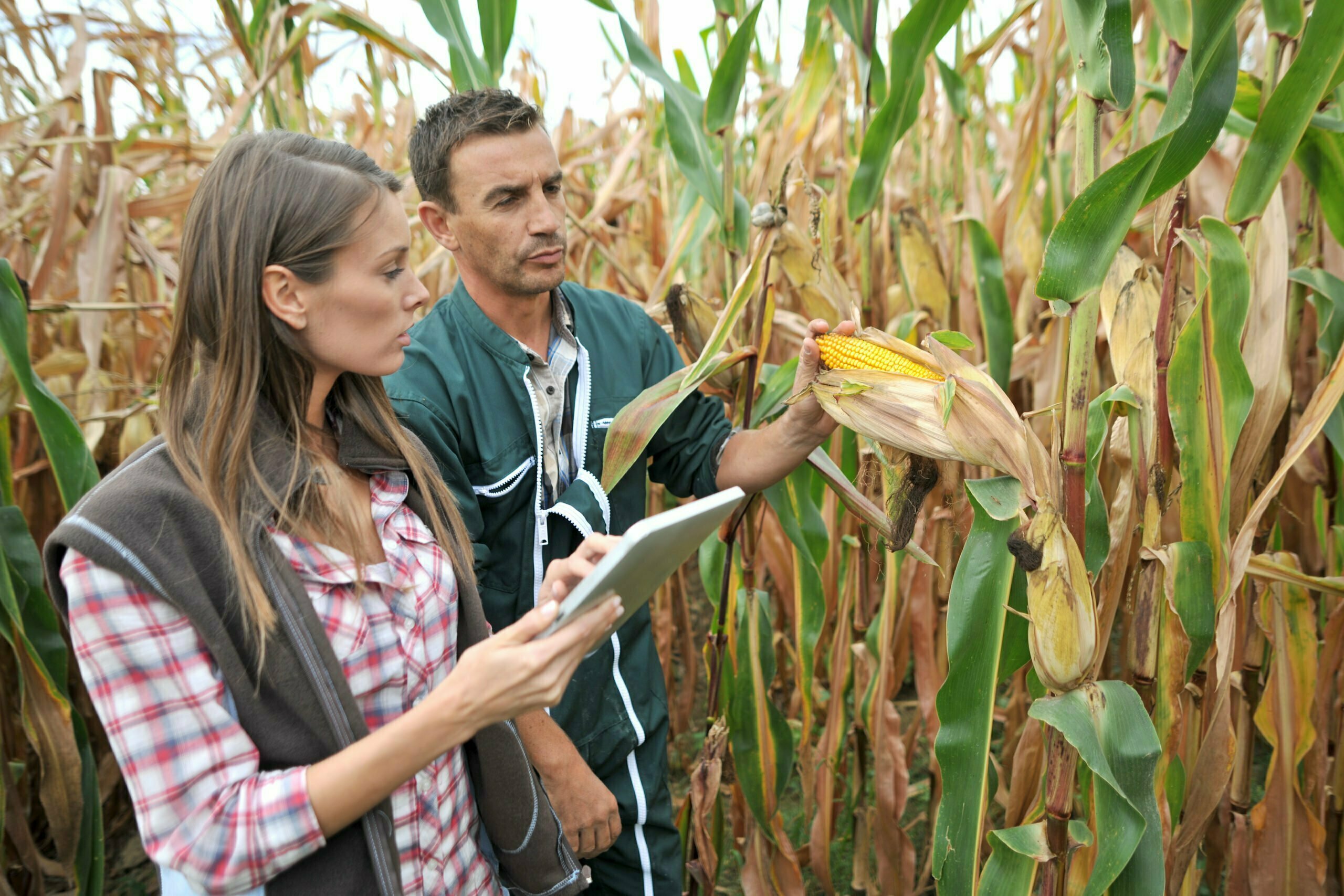 agronomist